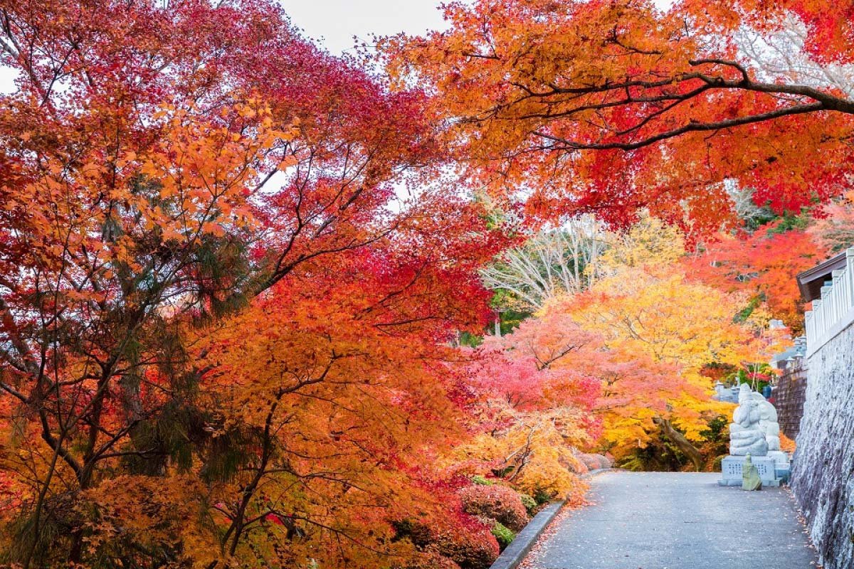 🐾 마츠야마 정원 미술관(마츠야마 테이엔 비쥬츠칸) 이미지 8